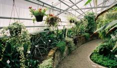 Visit the oldest botanical garden of Belgium